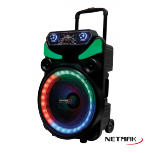 Parlante Bt 15 Pulg. Rapsody